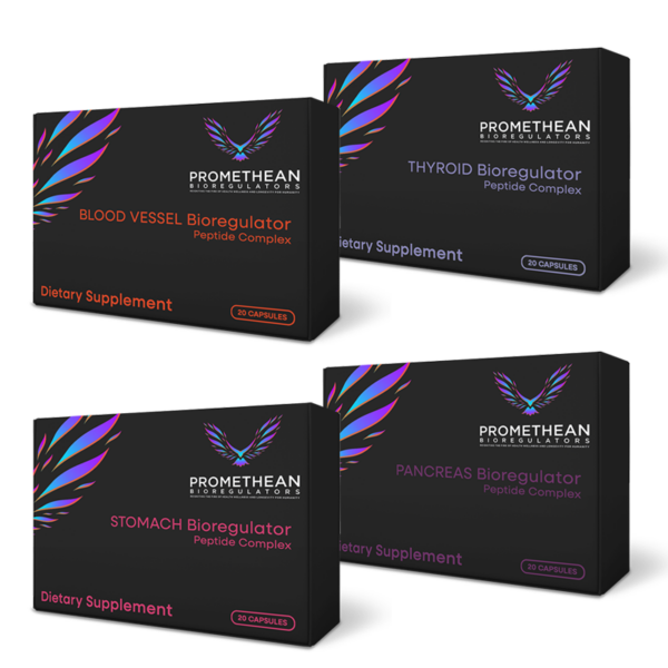 The Digestive Maintenance Plan