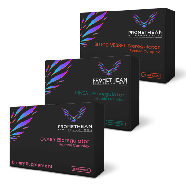 The Female Maintenance Bundle