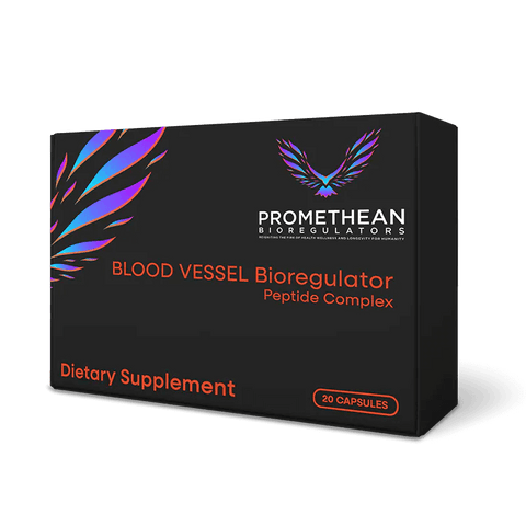 Blood Vessel Bioregulator | Promethean Bioregulators