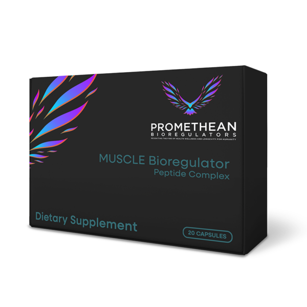 Muscle Bioregulator
