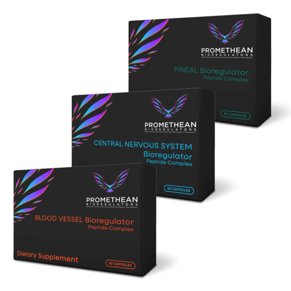 The Nootropic Maintenance Plan