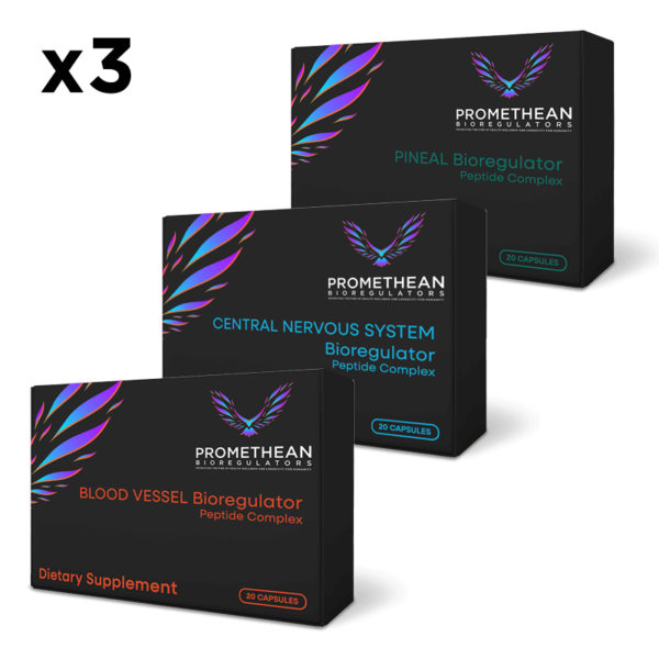The Nootropic Kickstart Bundle