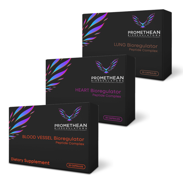 The Vascular Wellness Bundle